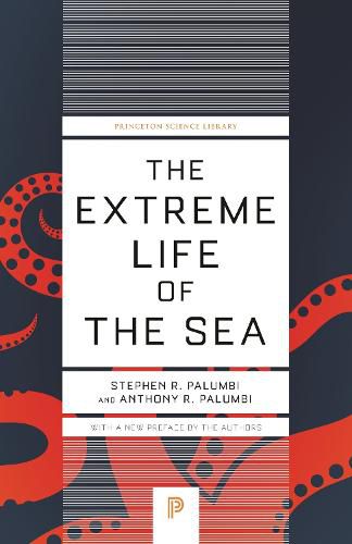 Cover image for The Extreme Life of the Sea