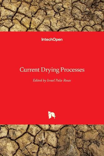 Cover image for Current Drying Processes