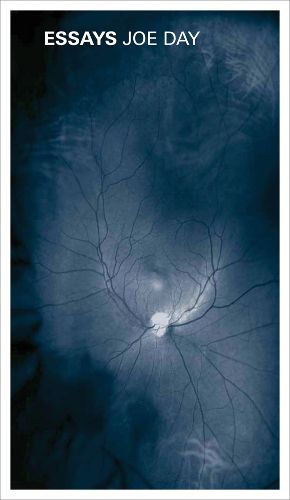 Cover image for Joe Day: Essays