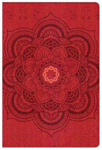 Cover image for CSB Essential Teen Study Bible, Red Flower Cork LeatherTouch