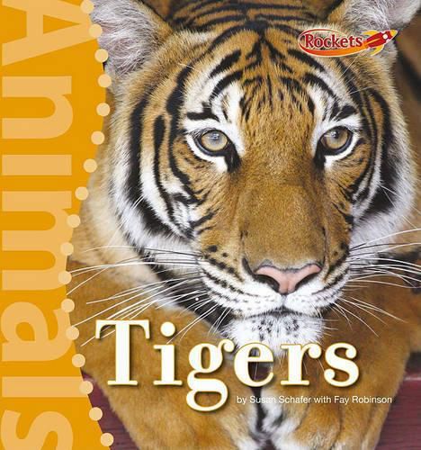 Cover image for Tigers