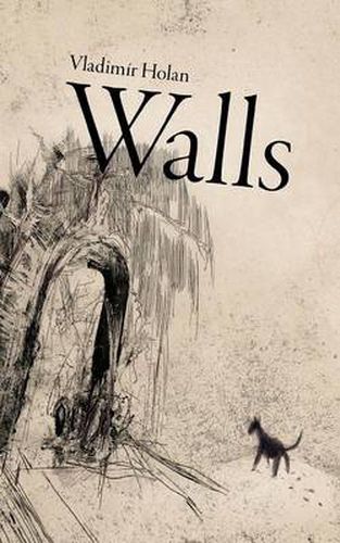 Cover image for Walls