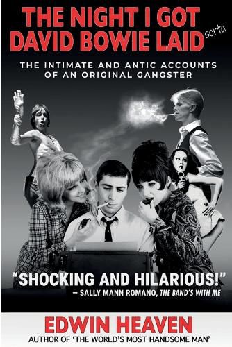 Cover image for The Night I Got David Bowie Laid (Sorta)