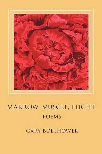 Cover image for Marrow, Muscle, Flight