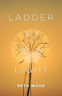 Cover image for Ladder to the Light