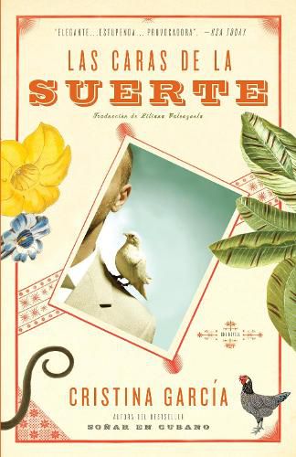 Cover image for Las caras de la suerte / A Handbook to Luck