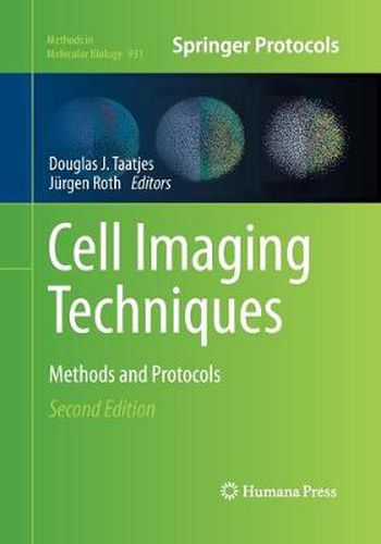 Cover image for Cell Imaging Techniques: Methods and Protocols