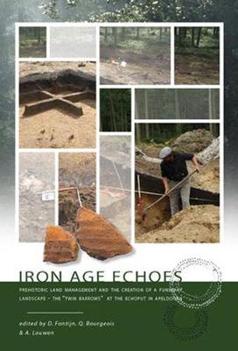 Cover image for Iron Age Echoes