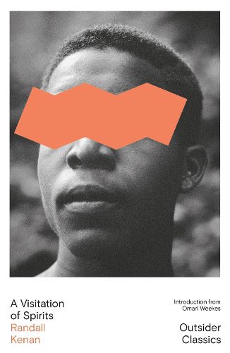 Cover image for A Visitation of Spirits