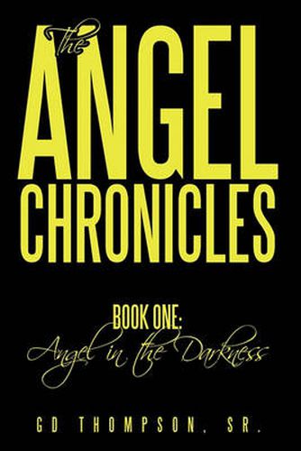 Cover image for The Angel Chronicles: Book One: Angel in the Darkness