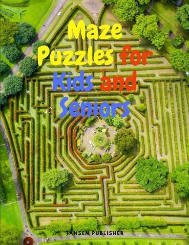 Cover image for Maze Puzzles for Kids and Seniors