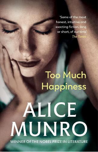 Cover image for Too Much Happiness