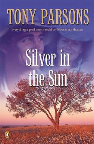 Cover image for Silver in the Sun