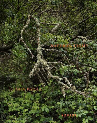 Cover image for Natural Light