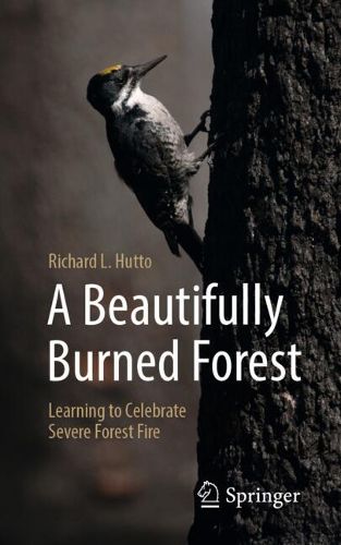 Cover image for A Beautifully Burned Forest
