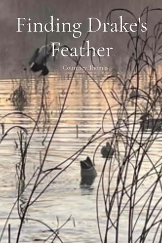 Cover image for Finding Drake's Feather