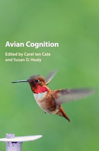 Cover image for Avian Cognition