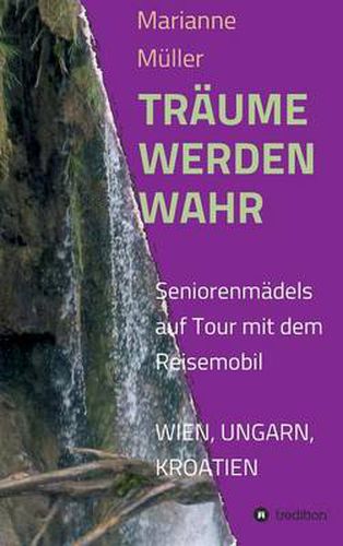 Cover image for Traume Werden Wahr