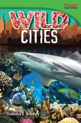 Cover image for Wild Cities