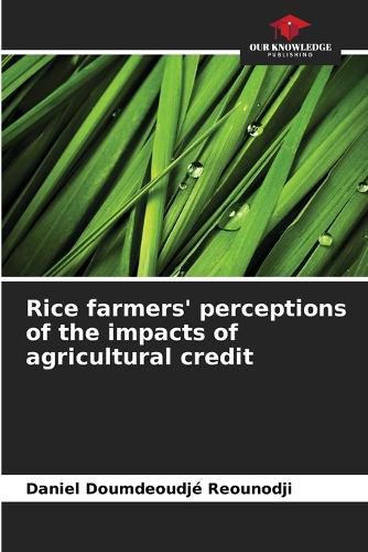 Cover image for Rice farmers' perceptions of the impacts of agricultural credit
