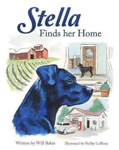 Cover image for Stella Finds Her Home