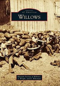 Cover image for Willows