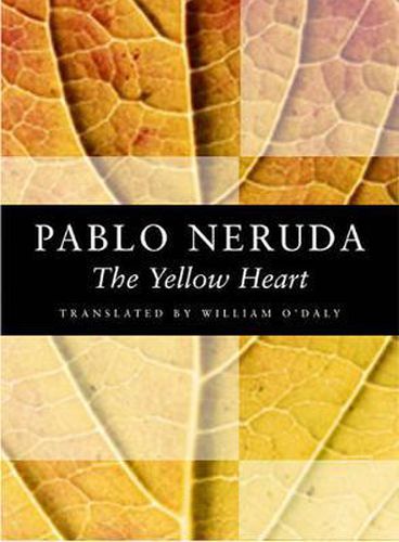 Cover image for The Yellow Heart