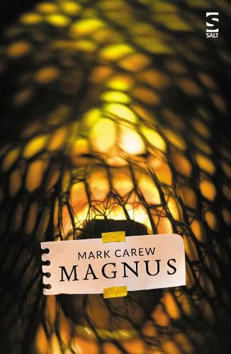 Cover image for Magnus