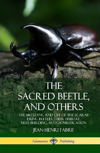 Cover image for The Sacred Beetle, and Others: The Breeding and Life of the Scarab Dung Beetles; their Habitat, Nest-Building, and Domestication (Hardcover)