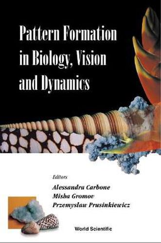 Cover image for Pattern Formation In Biology, Vision And Dynamics
