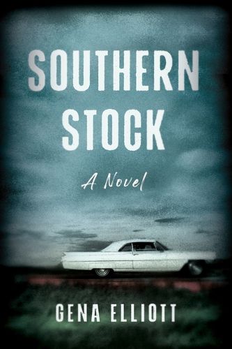Cover image for Southern Stock