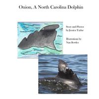 Cover image for Onion, a North Carolina Dolphin