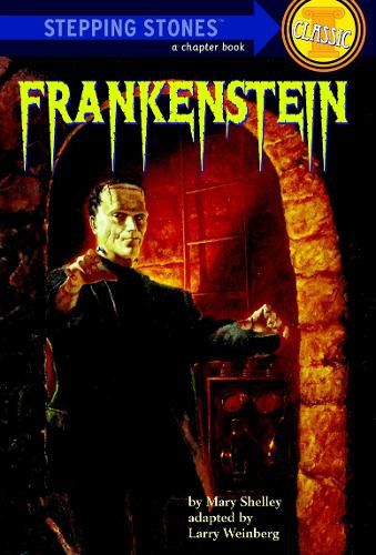 Cover image for Stepping Stones: Frankenstein