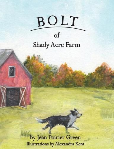 Cover image for Bolt of Shady Acres