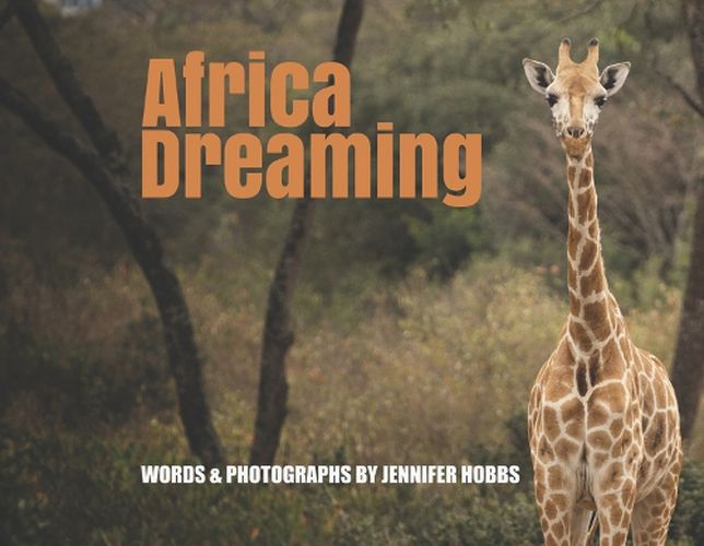 Cover image for Africa Dreaming