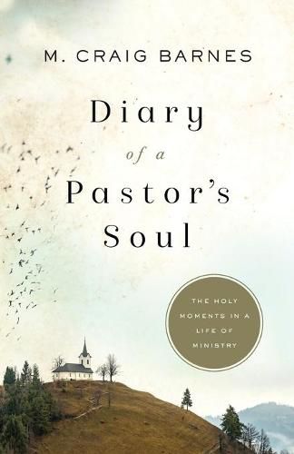 Diary of a Pastor"s Soul - The Holy Moments in a Life of Ministry