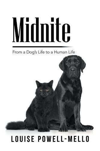 Cover image for Midnite: From a Dog's Life to a Human Life