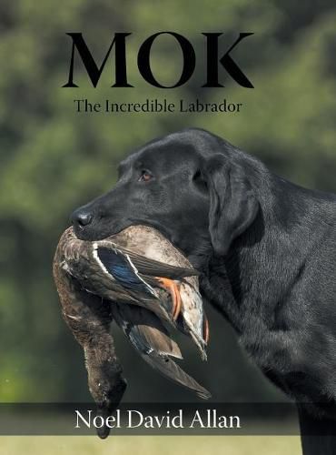 Cover image for Mok: The Incredible Labrador