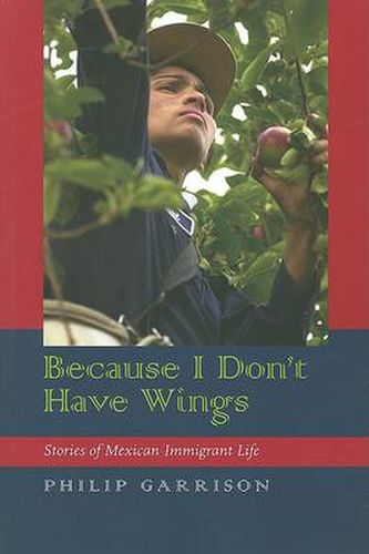 Cover image for Because I Don't Have Wings: Stories of Mexican Immigrant Life