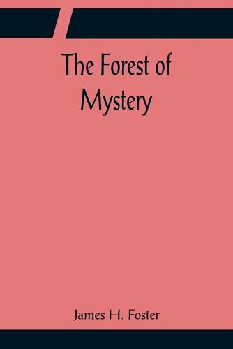 Cover image for The Forest of Mystery