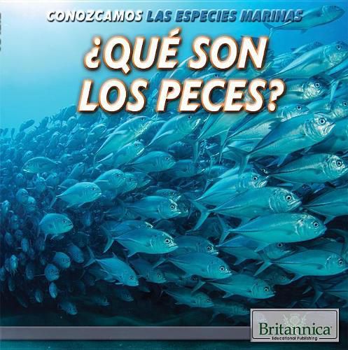 Cover image for ?Que Son Los Peces? (What Are Fish?)