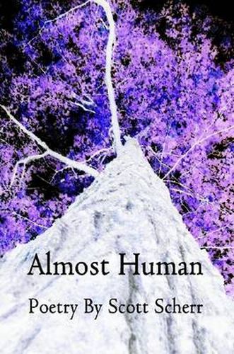 Cover image for Almost Human