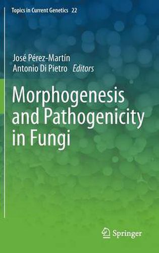 Cover image for Morphogenesis and Pathogenicity in Fungi