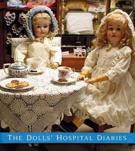 Cover image for The Dolls' Hospital Diaries