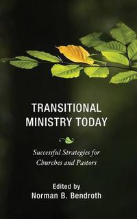 Cover image for Transitional Ministry Today: Successful Strategies for Churches and Pastors