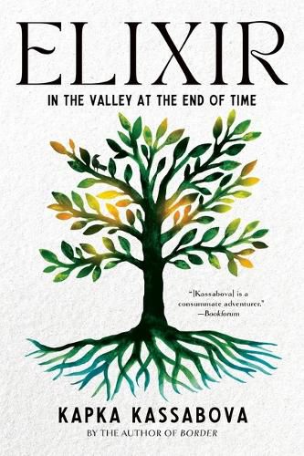 Cover image for Elixir: In the Valley at the End of Time