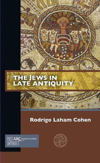 Cover image for The Jews in Late Antiquity