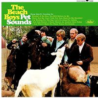 Cover image for Pet Sounds (50th Anniversary Mono 180gm Vinyl Reissue)