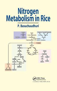 Cover image for Nitrogen Metabolism in Rice