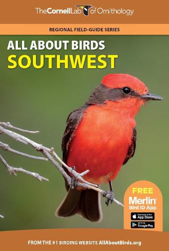 Cover image for All About Birds Southwest